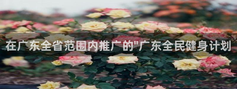 尊龙官方正版app集团：在广东全省范围内推广的\
