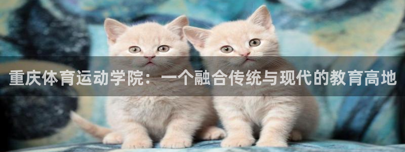 尊龙官网下载招商电话号码是多少号