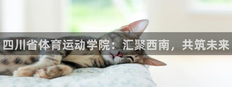 尊龙官网下载招商电话地址