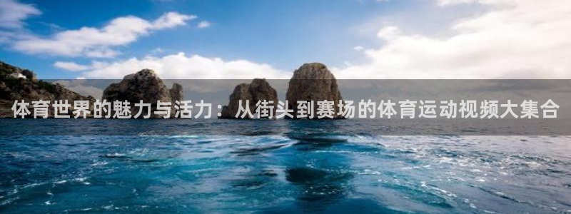 尊龙官网下载是干嘛的公司
