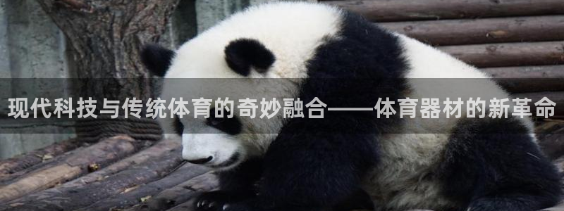 尊龙官方正版app开户：现代科技与传统体育的奇妙融合——体育