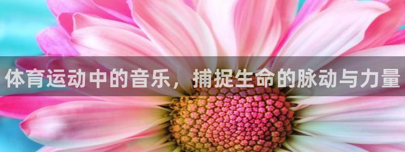 尊龙官网下载招商电话是多少号码：体育运动中的音乐，捕