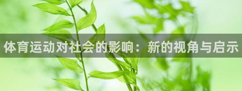 尊龙官网下载平台