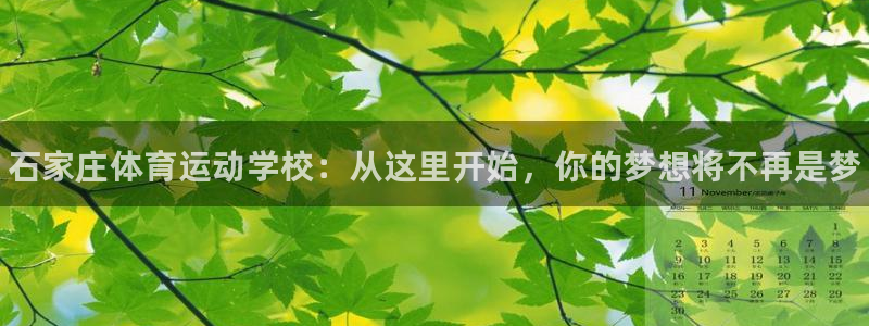 尊龙官网下载平台是正规平台吗安全吗：石家庄体育运动学