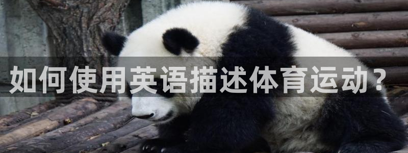 尊龙官方平台体育：如何使用英语描述体育运动？