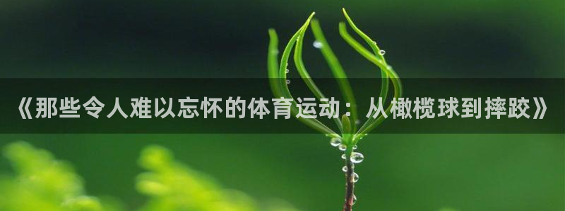 尊龙官网下载招商电话号码是多少号