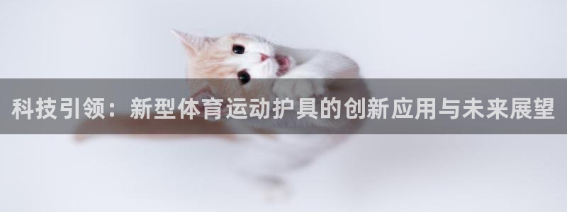 尊龙官方正版app集团logo