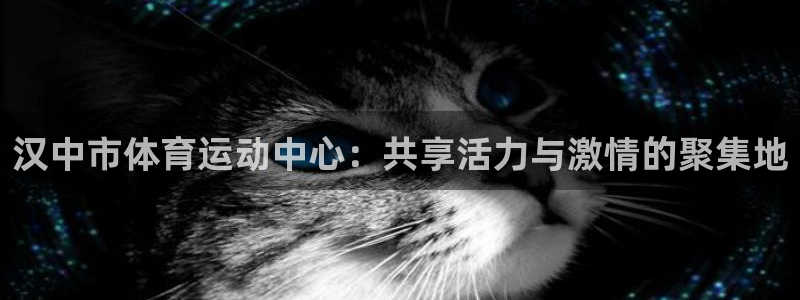 尊龙官方平台体育：汉中市体育运动中心：共享活力与激情