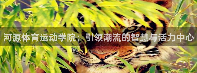 尊龙官网下载招商电话地址是多少：河源体育运动学院：引领潮流的