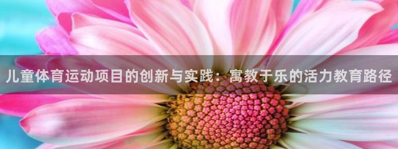尊龙官方正版app娱乐首页官网下载：儿童体育运动项目的创新与