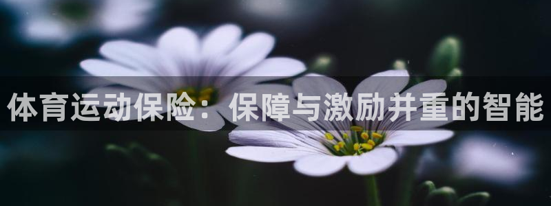 尊龙官方正版app娱乐是那个系列的台子：体育运动保险：保障与