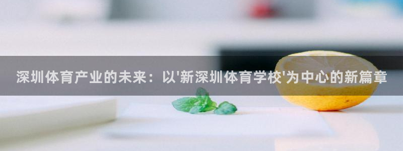 尊龙官方正版app集团官网网址：深圳体育产业的未来：以\'新