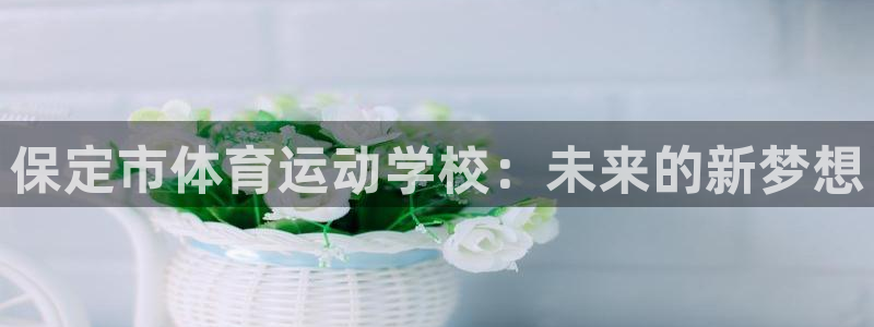 尊龙官方正版app集团logo