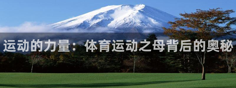 尊龙官网下载招商电话号码是多少：运动的力量：体育运动