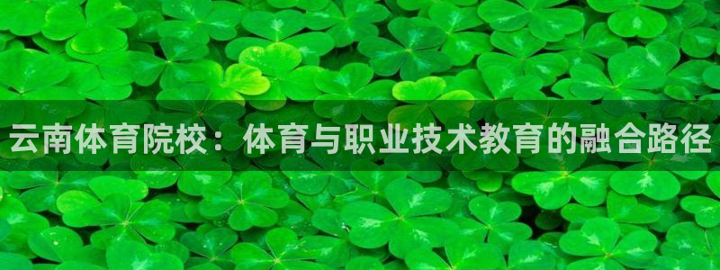 尊龙官网下载平台注册要钱吗：云南体育院校：体育与职业