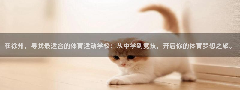 尊龙官网下载平台假的吗是真的吗吗：在徐州，寻找最适合的体育运