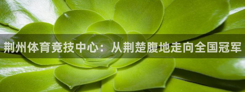 尊龙官网下载注册：荆州体育竞技中心：从荆楚腹地走向全国冠军