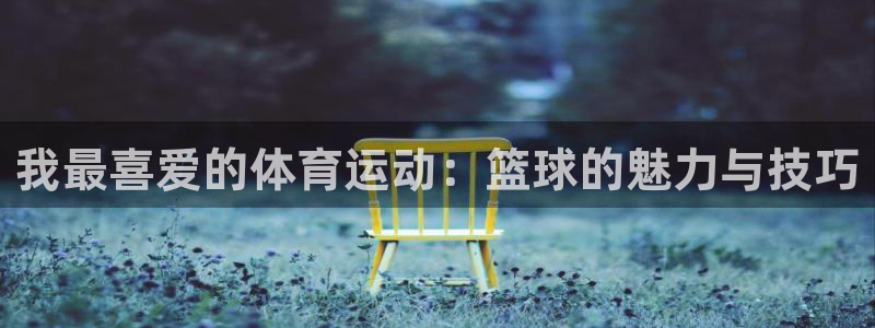 尊龙官网下载招商电话地址查询：我最喜爱的体育运动：篮球的魅力