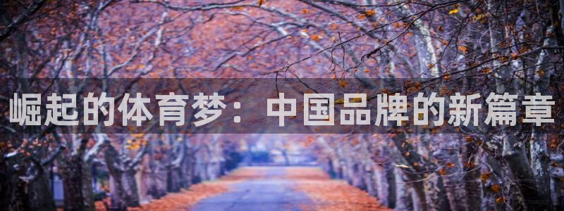 尊龙官方正版app集团简介：崛起的体育梦：中国品牌的新篇章