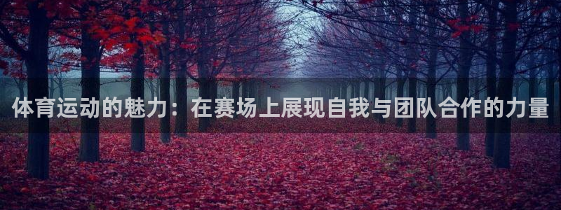 尊龙官网下载招商电话号码查询：体育运动的魅力：在赛场上展现自