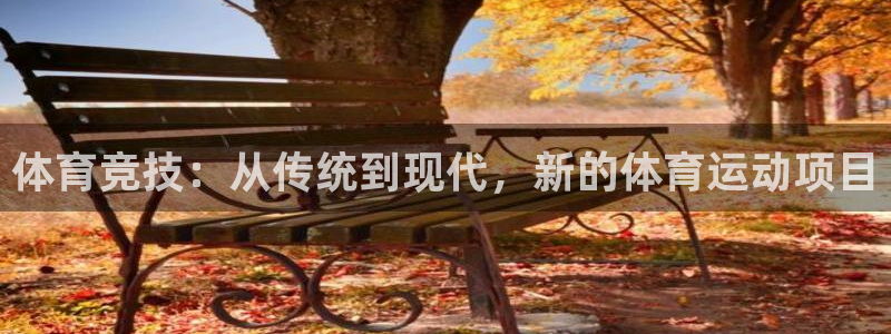 尊龙官方正版app官网：体育竞技：从传统到现代，新的