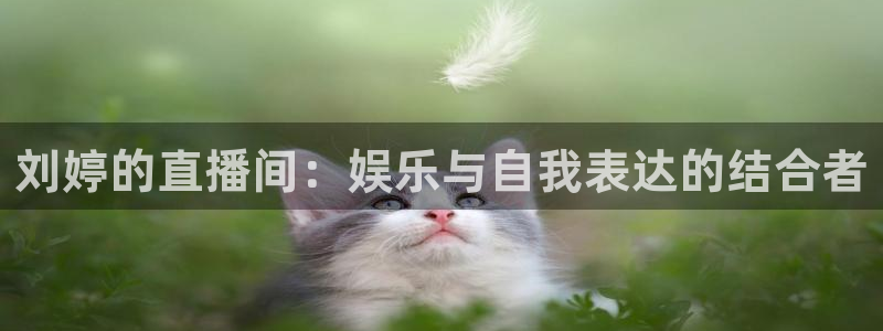 足球直播看球吧：刘婷的直播间：娱乐与自我表达的结合者