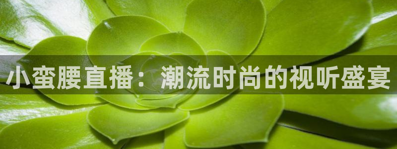 看球吧在线直播：小蛮腰直播：潮流时尚的视听盛宴