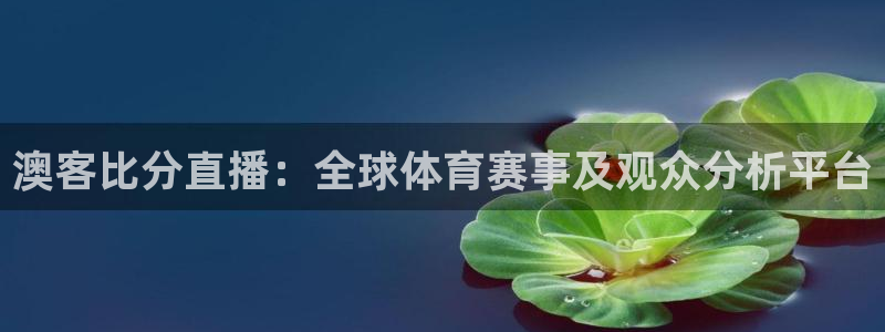 看球吧雨燕直播：澳客比分直播：全球体育赛事及观众分析平台
