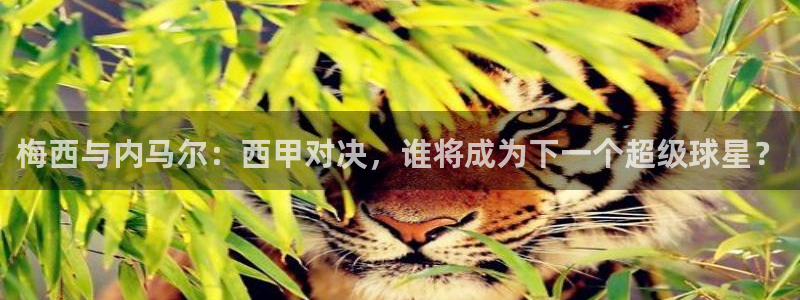 886直播看球吧：梅西与内马尔：西甲对决，谁将成为下一个超级球星？