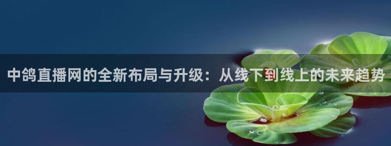 篮球比赛直播在线观看球吧网：中鸽直播网的全新布局与升级：从线下到线上的未来趋势